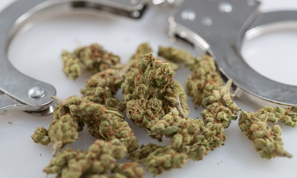 San Marcos is one step closer to getting decriminalization of weed on the  November ballot