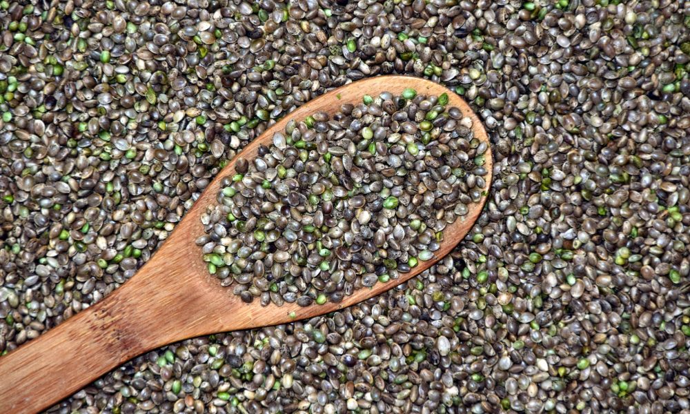 ᐅ Is It Legal to Buy Weed Seeds Online? - 2023 UPDATE - WSE