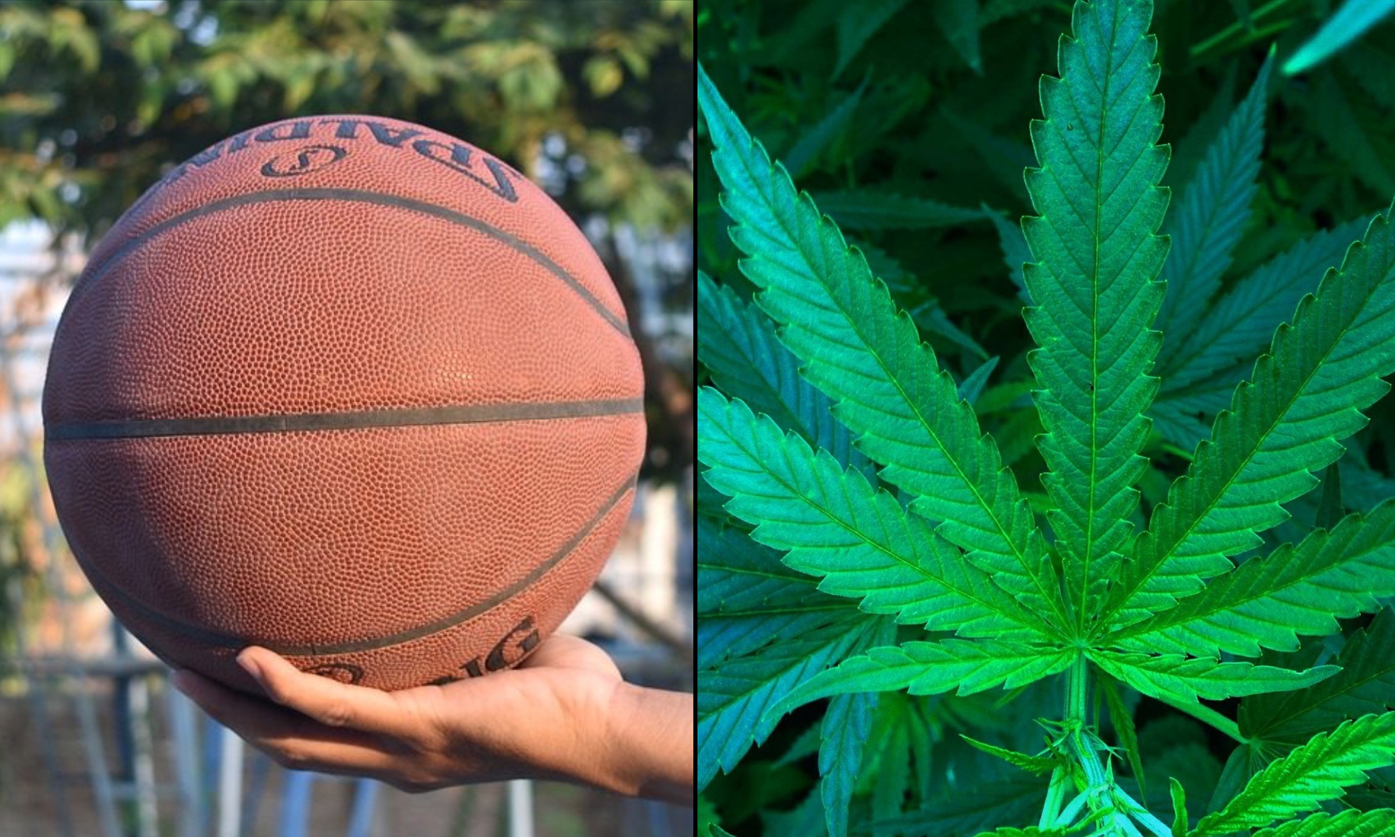 10 Professional Athletes Who Use Marijuana