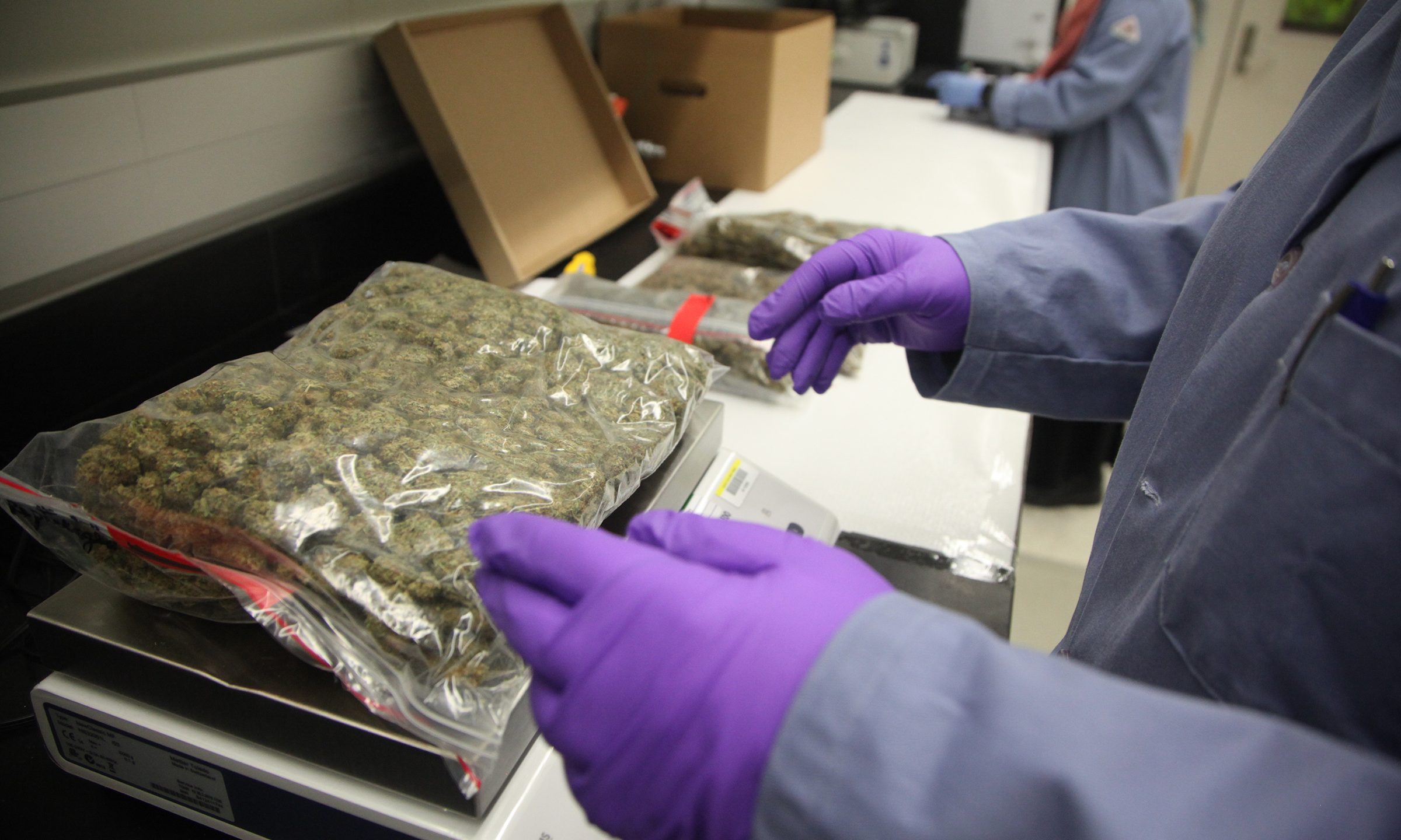 Drug Testing for Marijuana: How to Address Challenges with