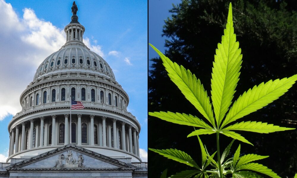 New Bipartisan Congressional Bill Would Expunge Federal Marijuana Records